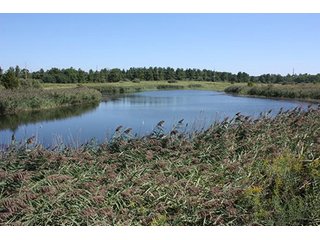Property photo 46 - 419 +/- Acres offered in 6 Tracts, Land Auction